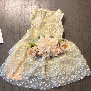 Elegant Lace Dog Dress with Floral Accents